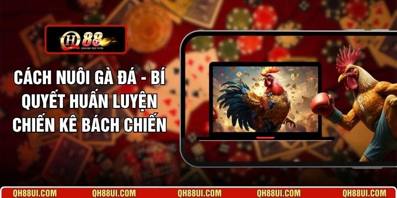Cách Nuôi Gà Đá