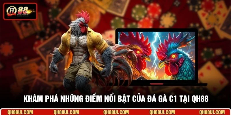 Khám phá những điểm nổi bật của đá gà C1 tại QH88
