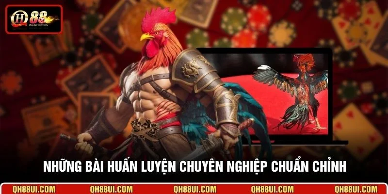 Những bài huấn luyện chuyên nghiệp chuẩn chỉnh 